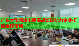 廣東大型跨境電商實(shí)戰(zhàn)培訓(xùn)助力企業(yè)拓展全球市場(chǎng)